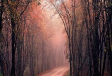 纳达尔评欧冠：阿尔瓦雷斯点球遗憾，国家德比展.