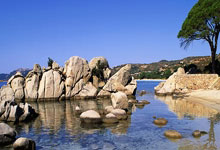 虎扑手机官网：早报：宁愿天堂没有足球，也不希望你就这样前往天堂.